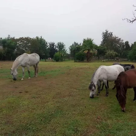 卡萨德斯塔康巴酒店