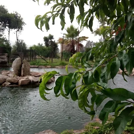 Casa De Sta Comba 바르셀로스