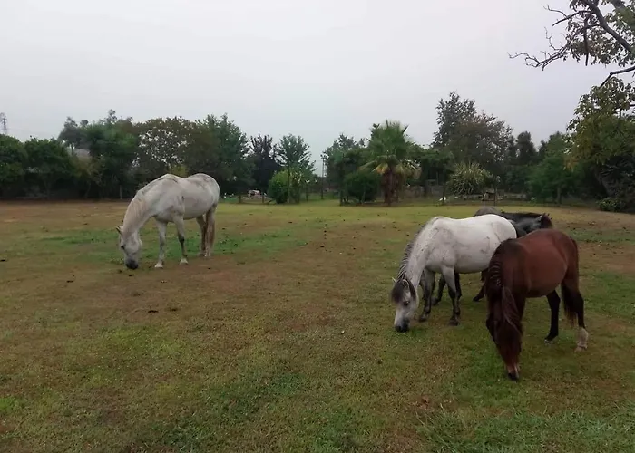 卡萨德斯塔康巴酒店